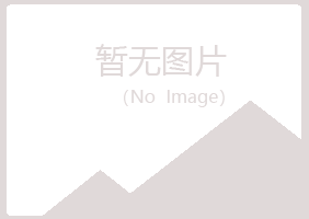 兴山区向彤零售有限公司